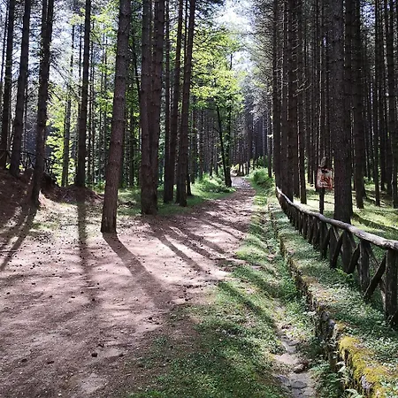 아파트 Borgo Antico 사트리아노